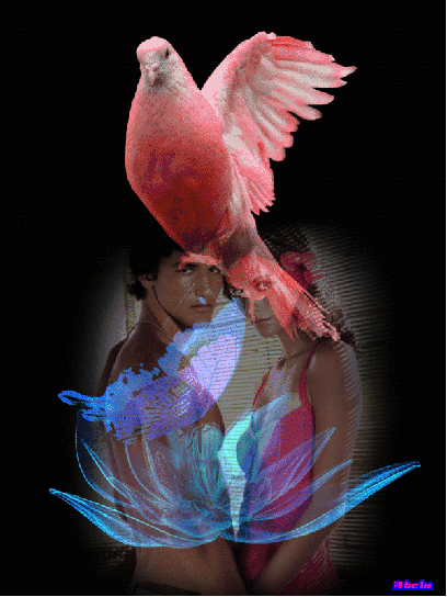 Фото Парень и девушка стоят, взявшись за руки, на ихнем фоне кружится светящийся цветок с сидящей и машущей крыльями бабочкой и сидящим сверху розовым голубем, by Akela