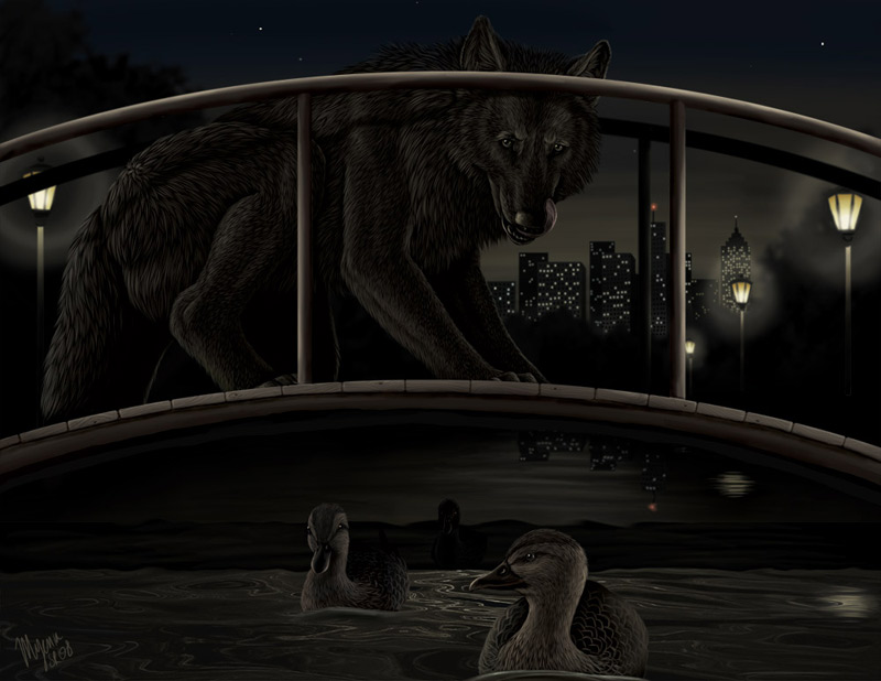 Фото Волк стоя на мосту на фоне ночного города смотрит, как на воде плавают утки