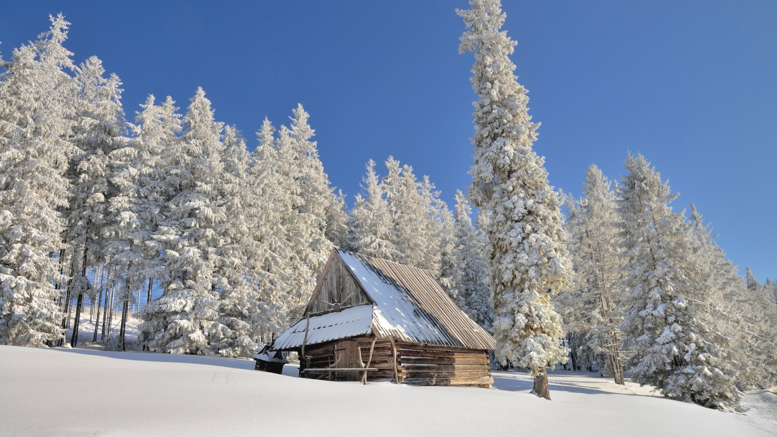 Фото Домик в снежном лесу