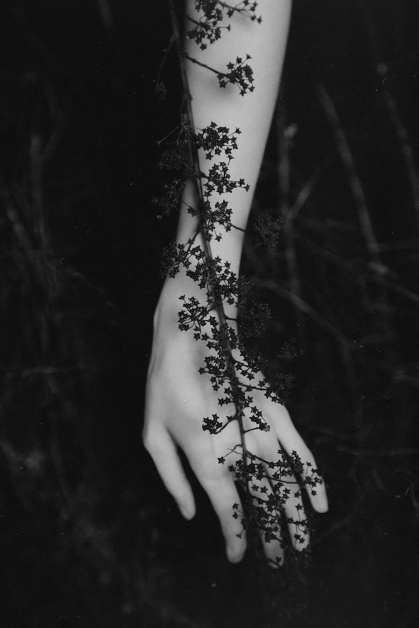 Фото Женская рука и сухое растение