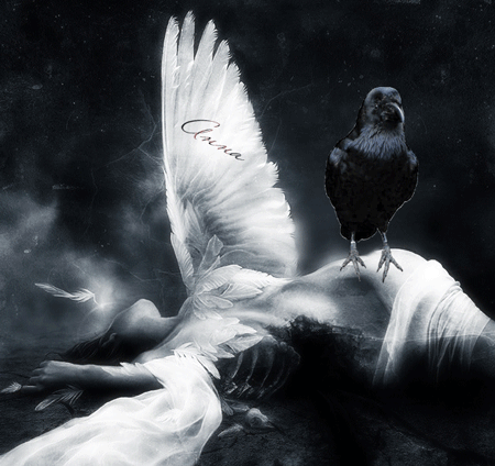 Фото Девушка ангел лежит распростерши крылья, на ней сидит ворон