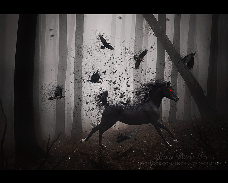 Фото Черная лошадь в окружении воронов, by EnchantedWhispersArt