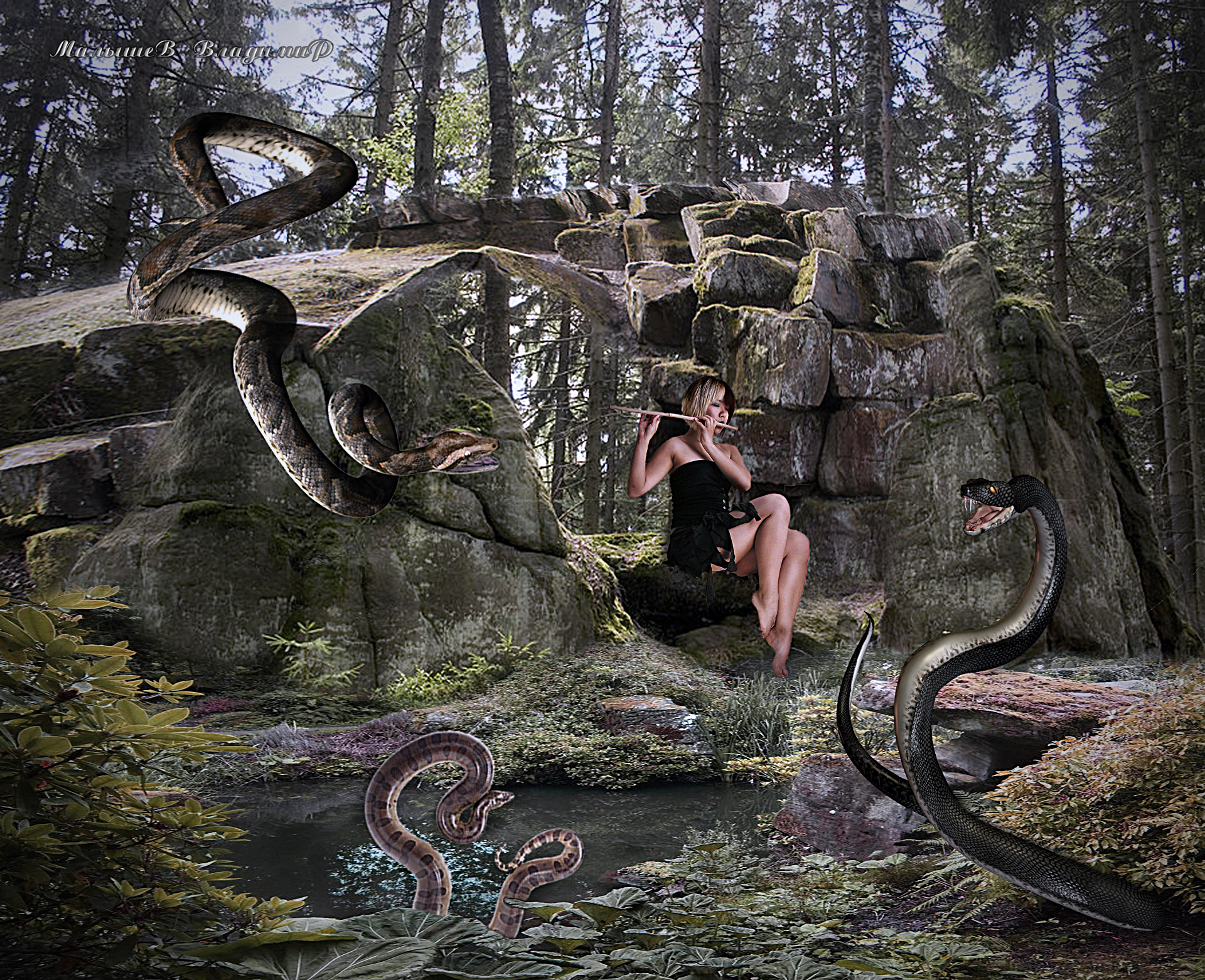 Фото Девушка играет на дудки для змей