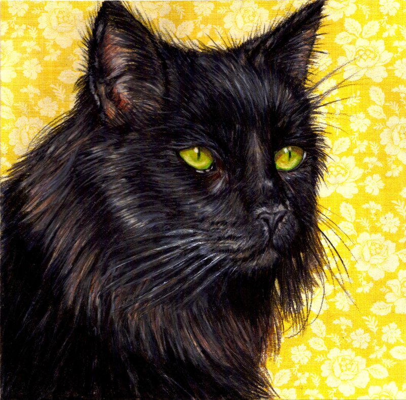 Черный котенок фото