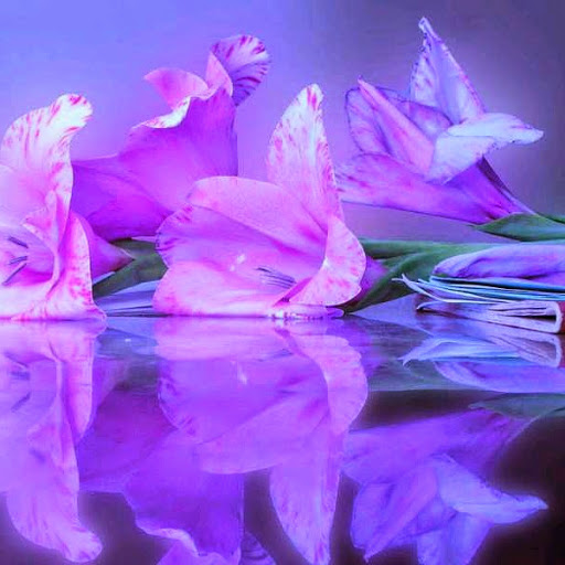 Цветы в воде эстетика