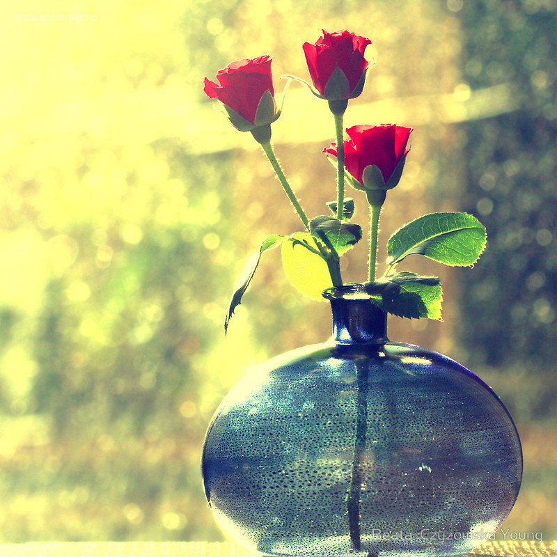 Фото Три красные розы стоят в стеклянной вазе