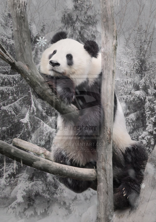 Фото Панда улегся на ствол дерева в заснеженном лесу, by phatpuppyart studios