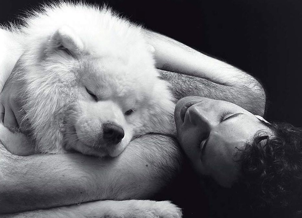 Фото Мужчина спит в обнимку с собакой чау-чау