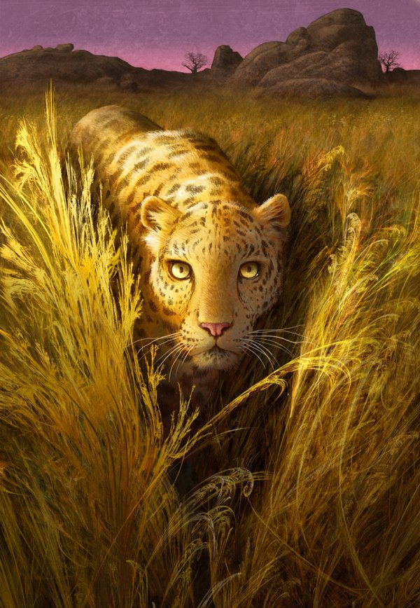 Фото Леопард пробирается сквозь высокую, сухую траву