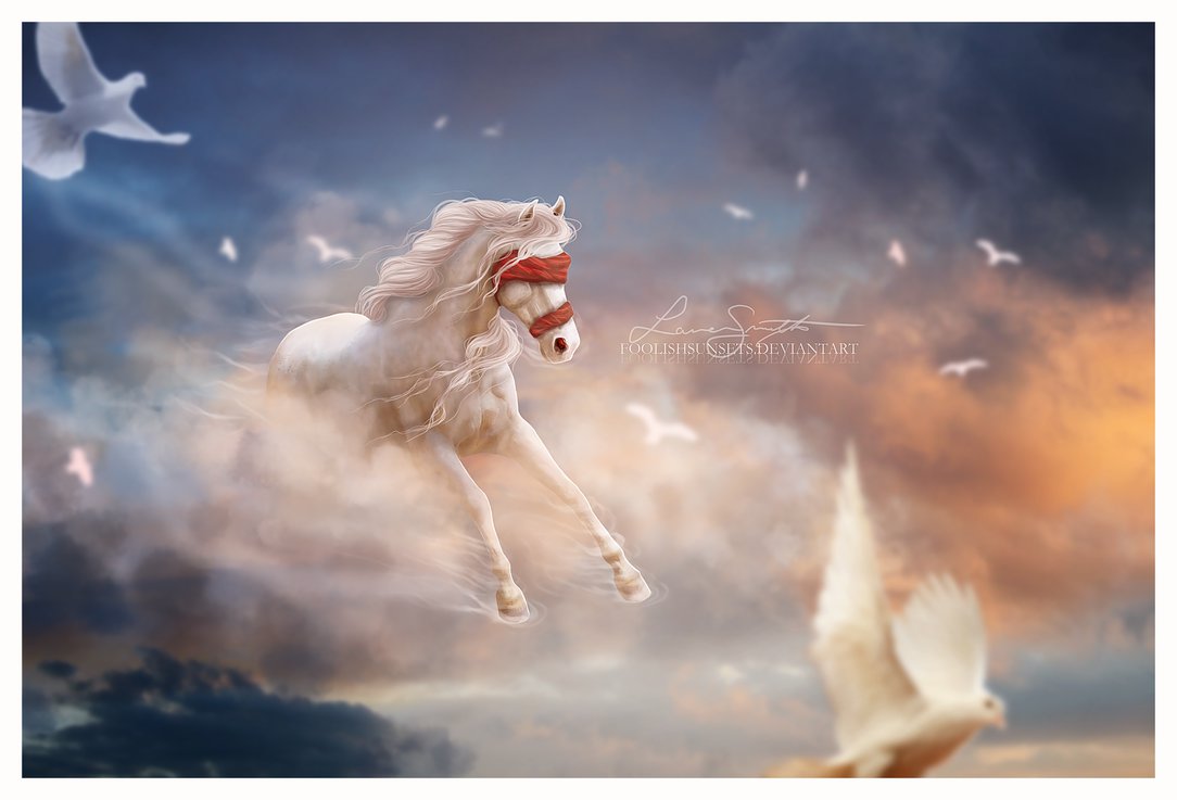 Фото Лошадь с завязанными глазами в небе в окружении голубей, by foolishsunsets on DeviantArt