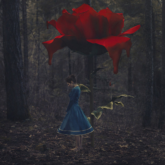 Фото Девушка стоит у розы в густом лесу, ву Nicole Burton