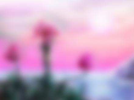 Фото На берегу моря растут красивые розовые цветы, среди которых стоит обнаженная девушка цветок