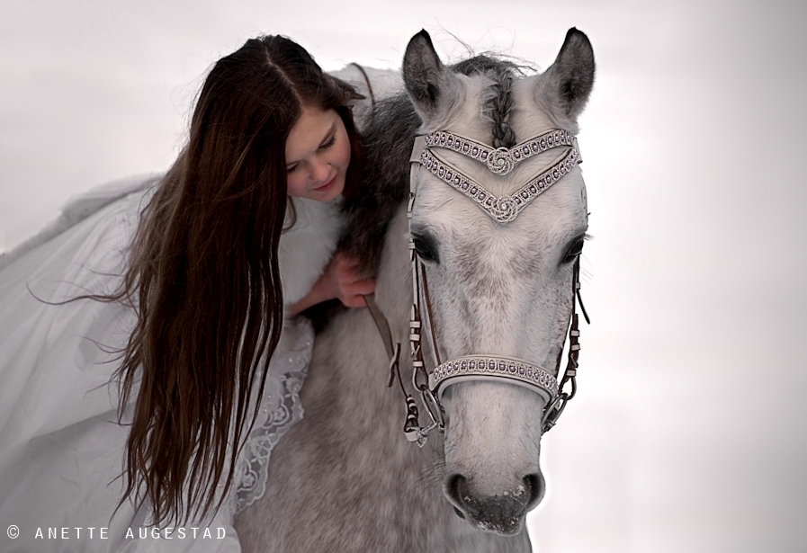 Фото Девушка сидит на лошади, ву A-Motive