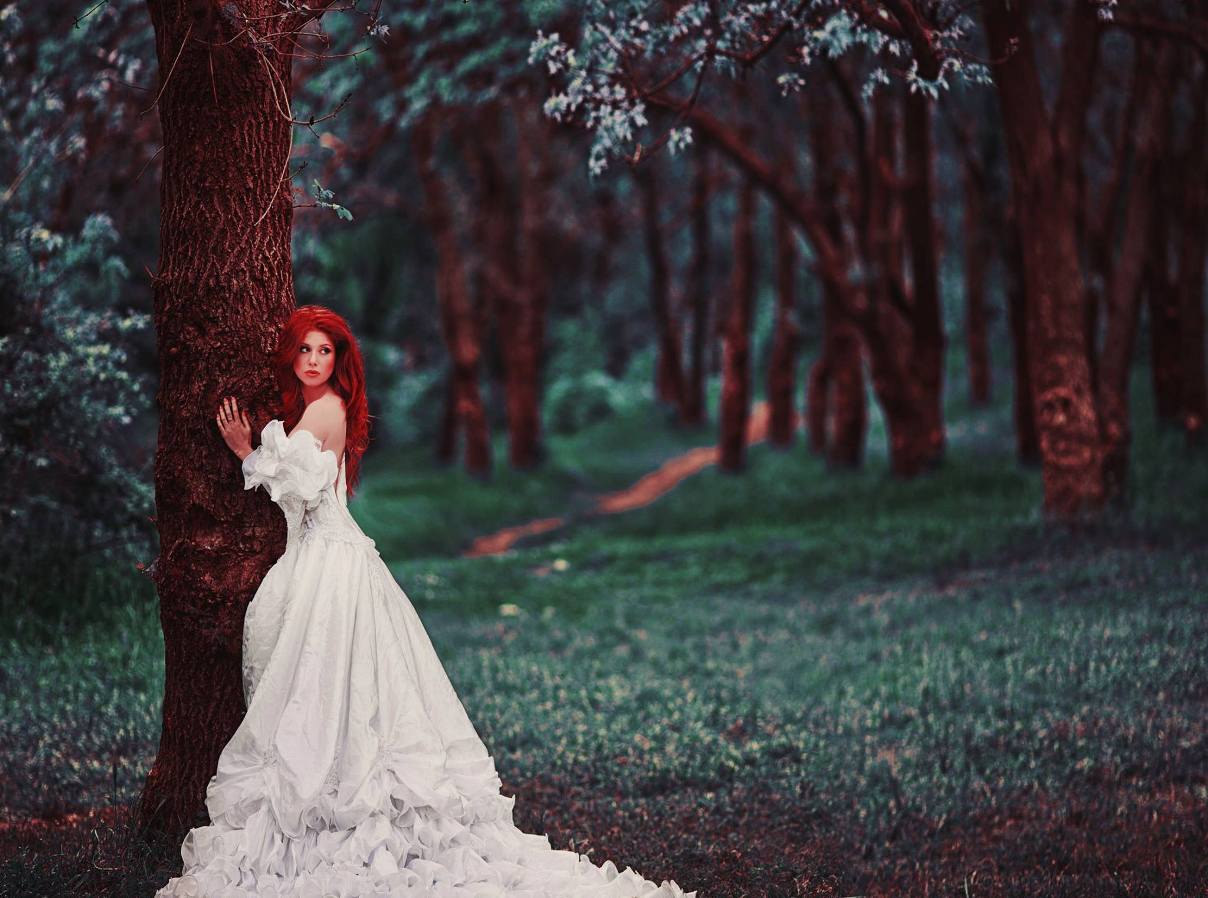 свадьба красного дерева картинки