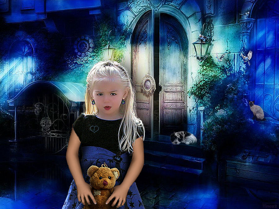 Фото Светловолосая, милая девочка, держащая в руках плюшевого медвежонка, стоящая в ночи возле крыльца каменного дома с лежащей на крыльце собакой, сидящей на окне кошкой и летающих попугаев, автор Tinca2