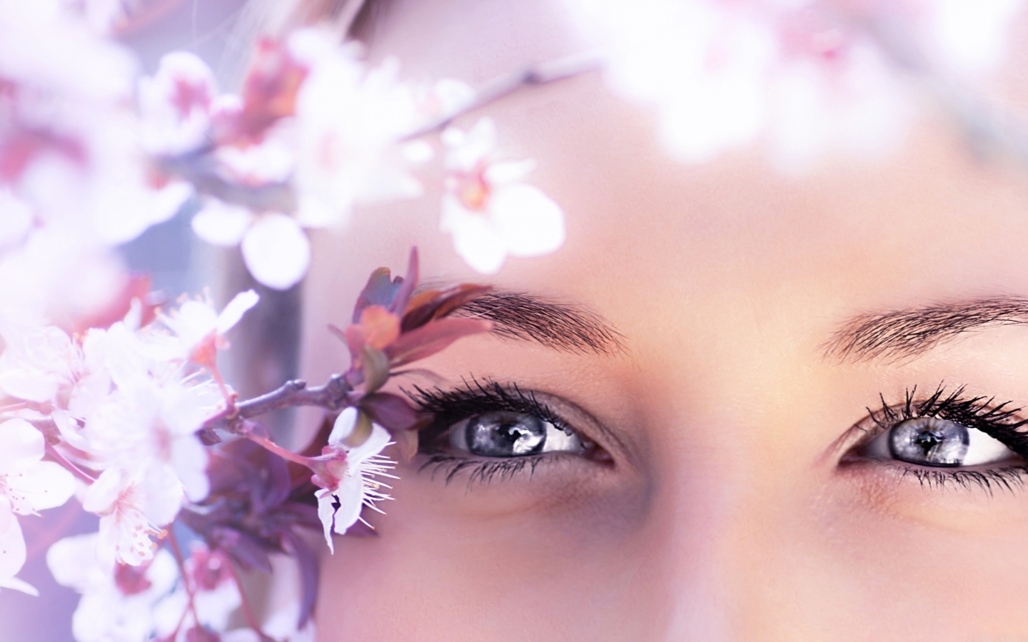Фото Часть лица девушки с прекрасными глазами, рядом с веткой цветущего дерева