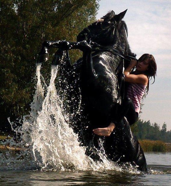 Фото Девушка верхом на лошади встающей на дыбы в воде