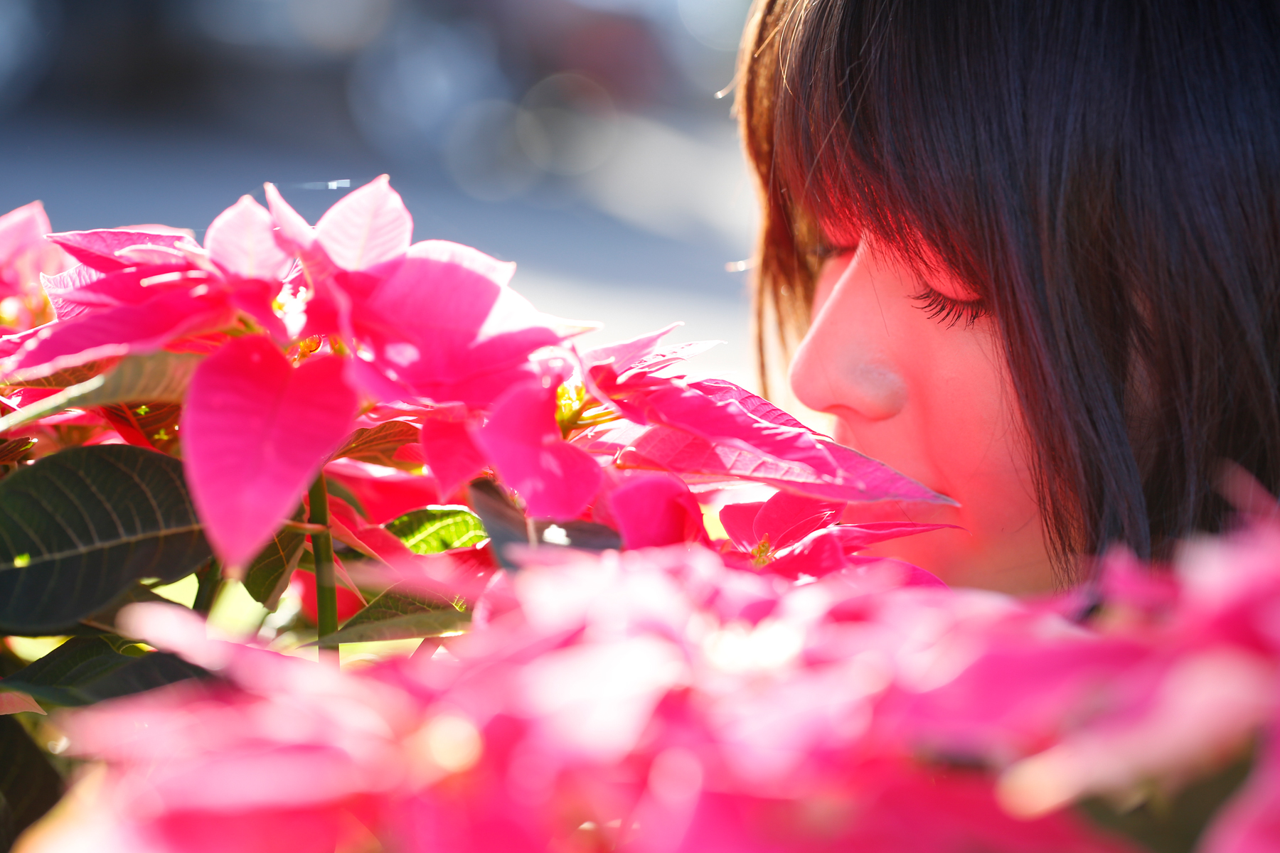 Фото Японская певица, участница группы C-ute, Яджима Майми / Yajima Maimi, вдыхает аромат цветов
