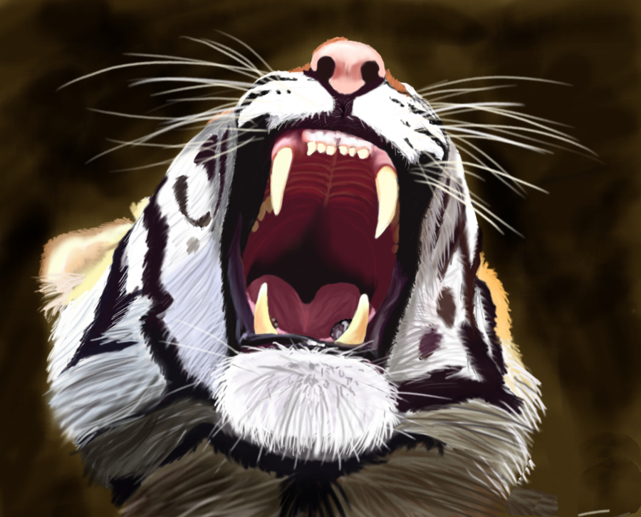 Фото Тигр с широко раскрытой в ярости пастью