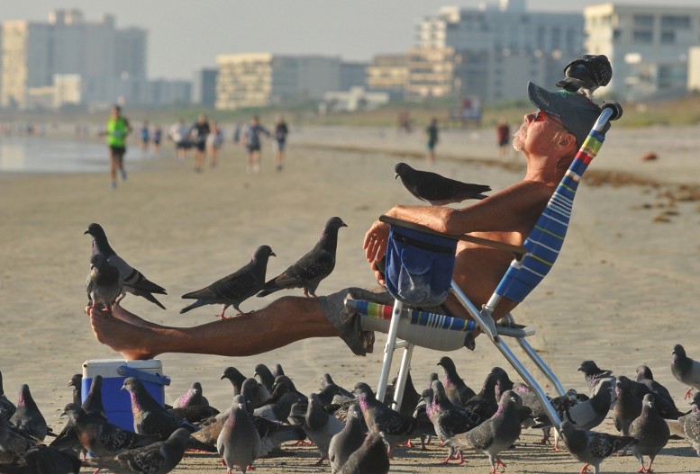 Фото Мужчина уснул на пляже в компании голубей