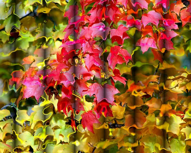 Фото Абстракция в виде разноцветных осенних листьев