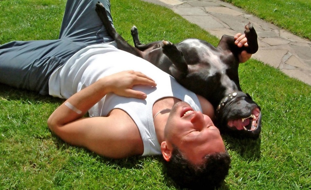 Фото Мужчина и собака лежат спиной на траве