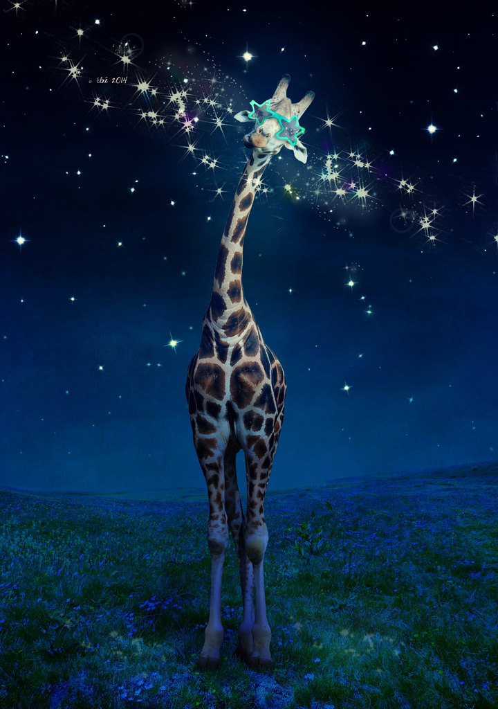Фото Жираф в очках на фоне звездного неба