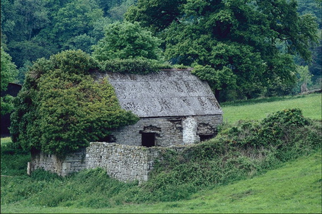 Дома на поляне фото