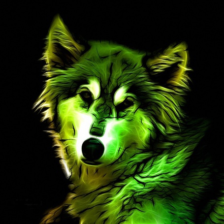 Фото Зеленого Волка