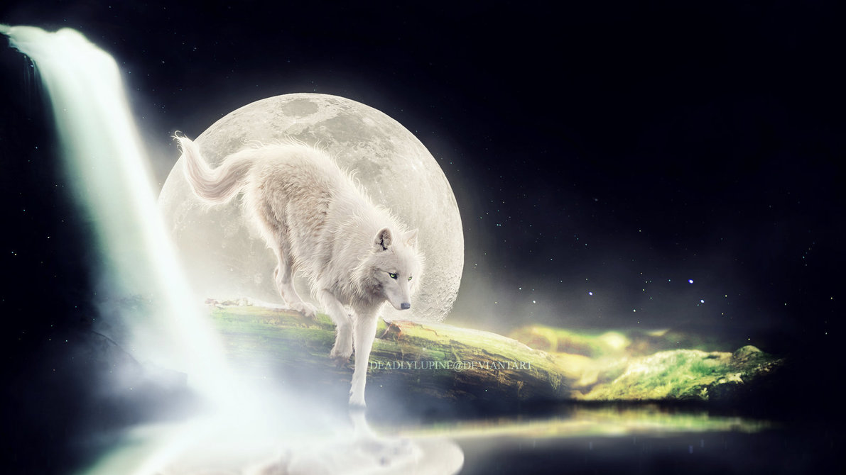Волк спящий на Луне