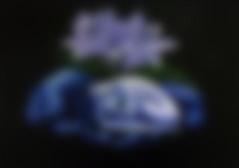Фото В мужских руках обнаженная девушка, сверху голубые цветы, автор K. Madison