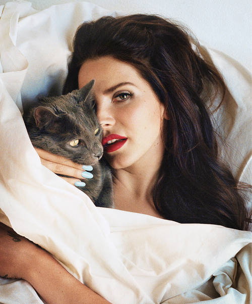 Фото Лана Дель Рей / Lana Del Rey в кровати с кошкой