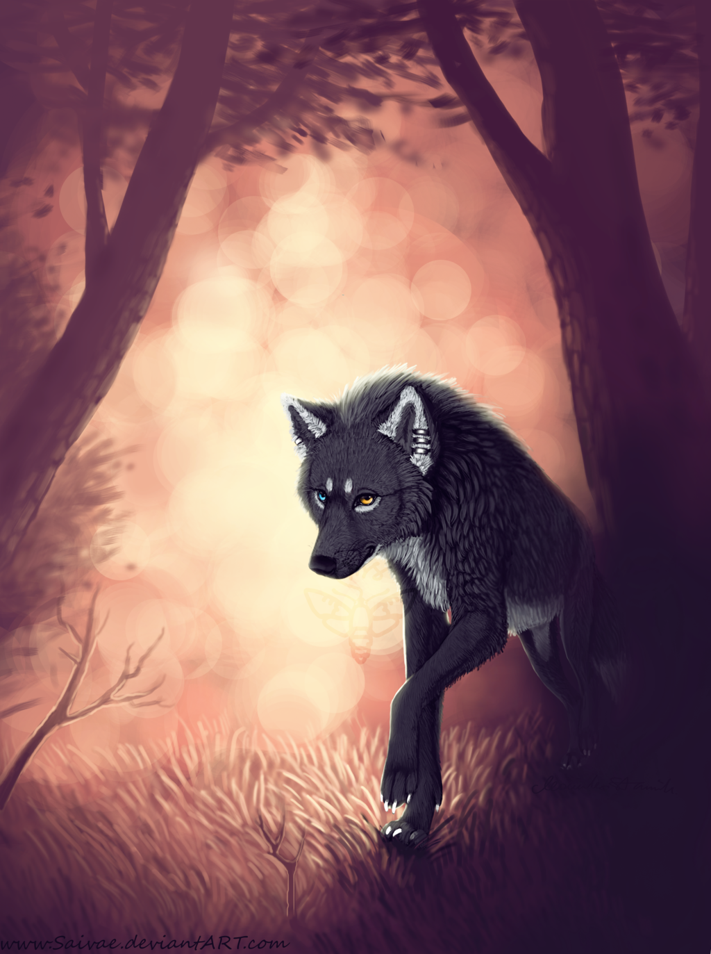 Фото Волк с разного цвета глазами идет по лесу, by IISky