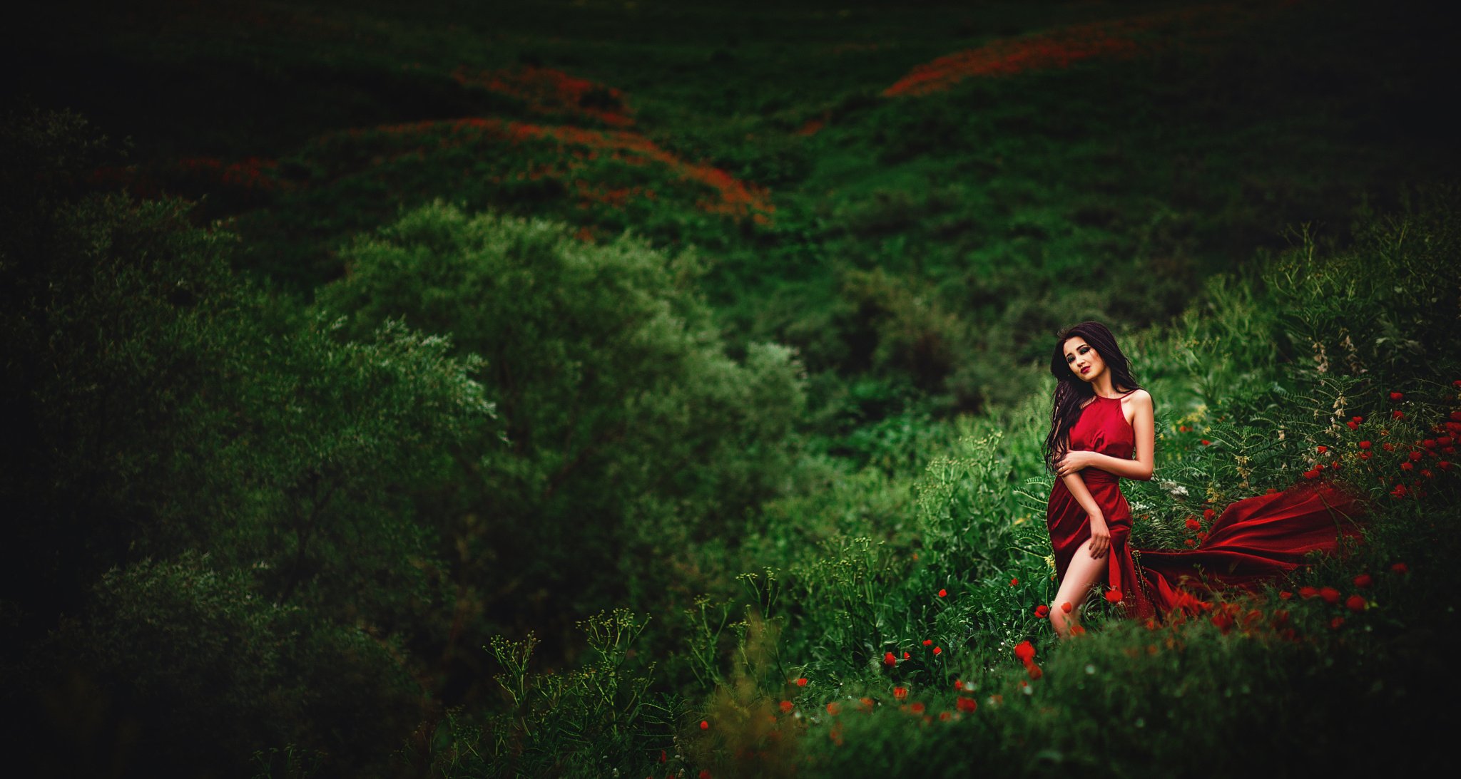 Фото Девушка в краcном платье стоит на фоне природы, ву Valery Vartanova