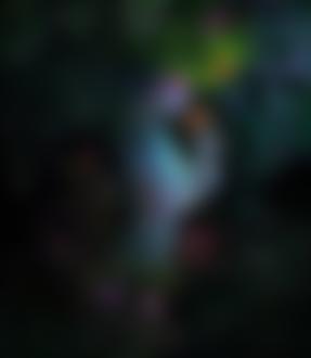 Фото Девушка восточной внешности в головном уборе из растений, листьев и цветов, с рисунками боди-арт на теле, с цветком в руке стоит среди кустов с цветами, бодиарт фотохудожника DUONG QUOC DINH