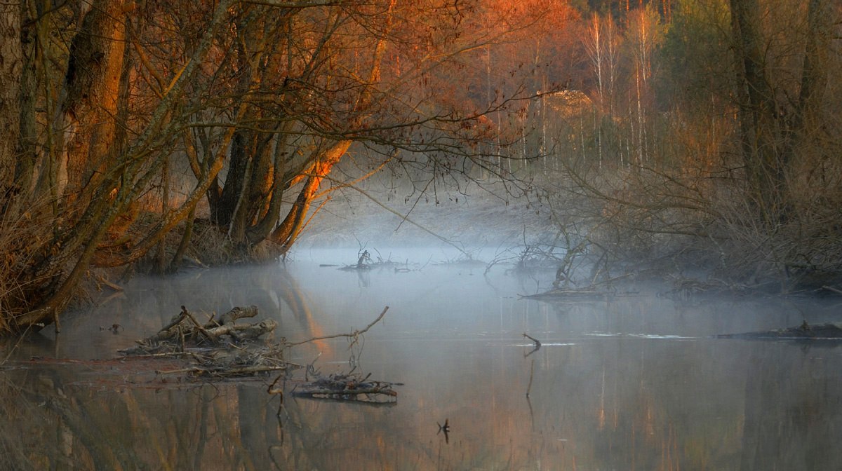 Утро года 5 букв. Осень на болоте. Болото туман. Тихая заводь в тумане фото. Утро года.