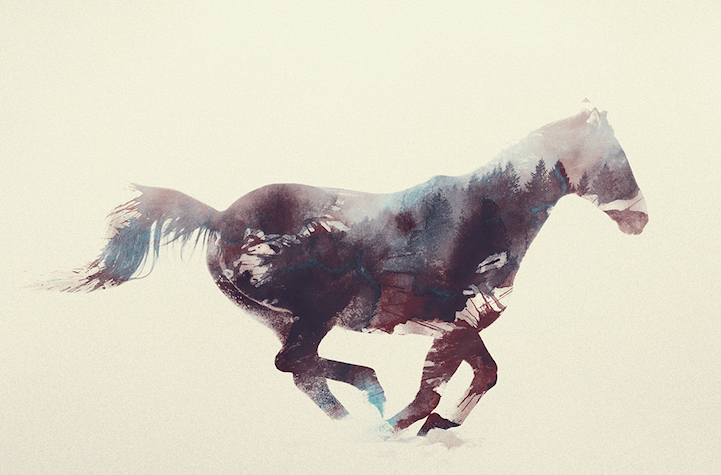 Фото В лошади отражается лес, by Andreas Lie