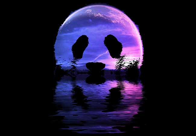 Фото Луна на ночном небе в виде головы панды, с отражением в воде, Buy this on Design by Humans