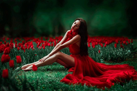 Фото Девушка в красном платье и розой на голове стоит у кустов с красными розами фотограф