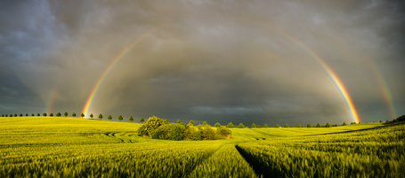 mid_203924_5398.jpg