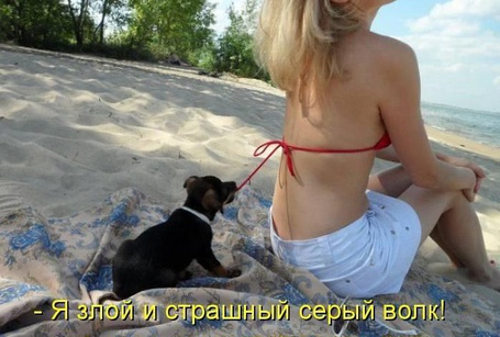 Фото Девушка сидит на берегу, за спиной щенок пытается развязать ейкупальник (Я злой и страшный серый волк!)