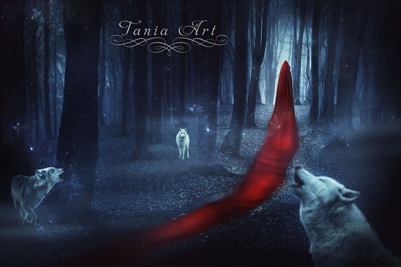 Фото Девушка в длинном красном плаще и волки в лесу, by TaniaART