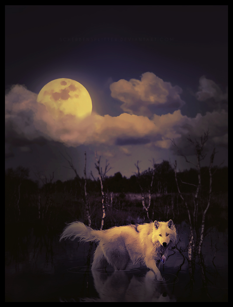 Ночь волков читать. Волк в ночи. Волк и Луна. Волк ночь Луна. Полнолуние волк.