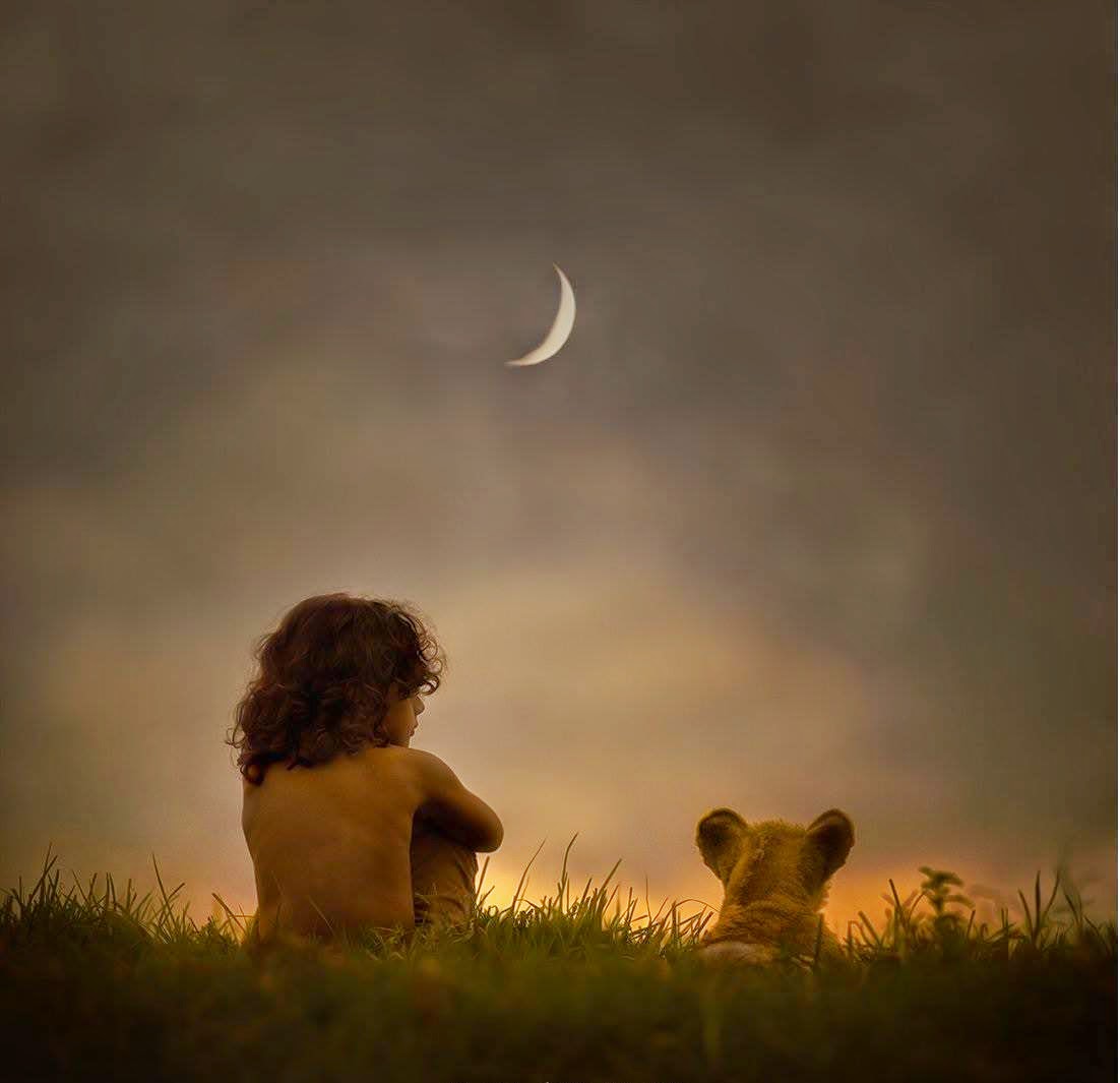 Фото Мальчик и львенок сидят в траве