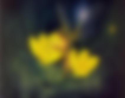 Фото Обнаженная эльфочка в ночи среди цветов