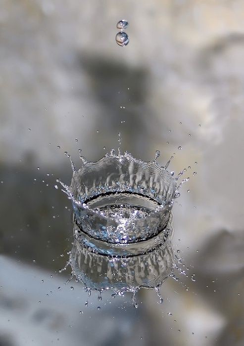 Фото Капля падает в воду, образуя из брызг корону