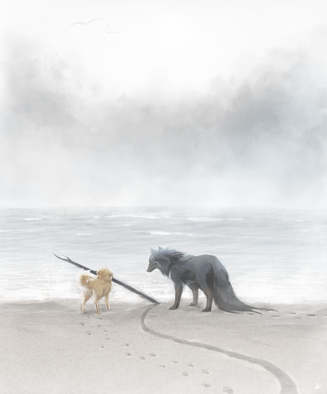 Фото Собака и черный волк стоят на берегу моря
