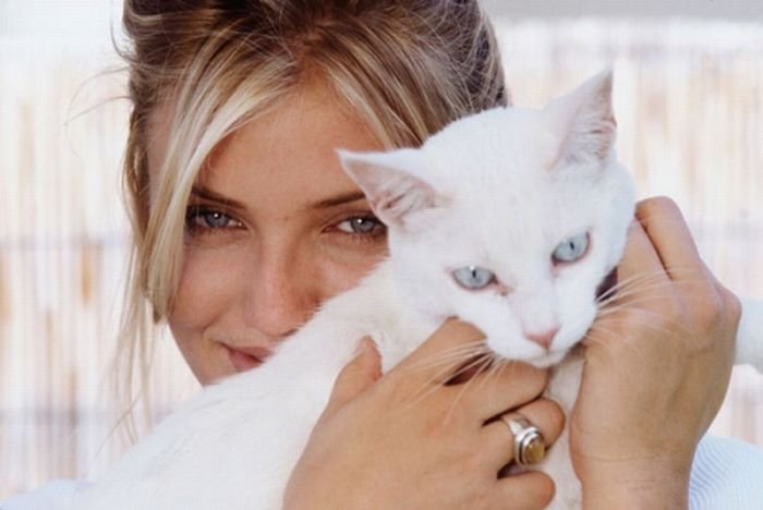 Фото Актриса и модель Камерон Диас / Cameron Diaz, держит в руках белую кошку