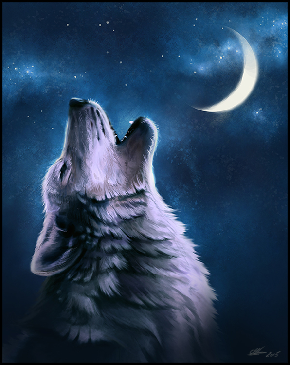 Фото Воющий волк на фоне ночного неба, by Van Design