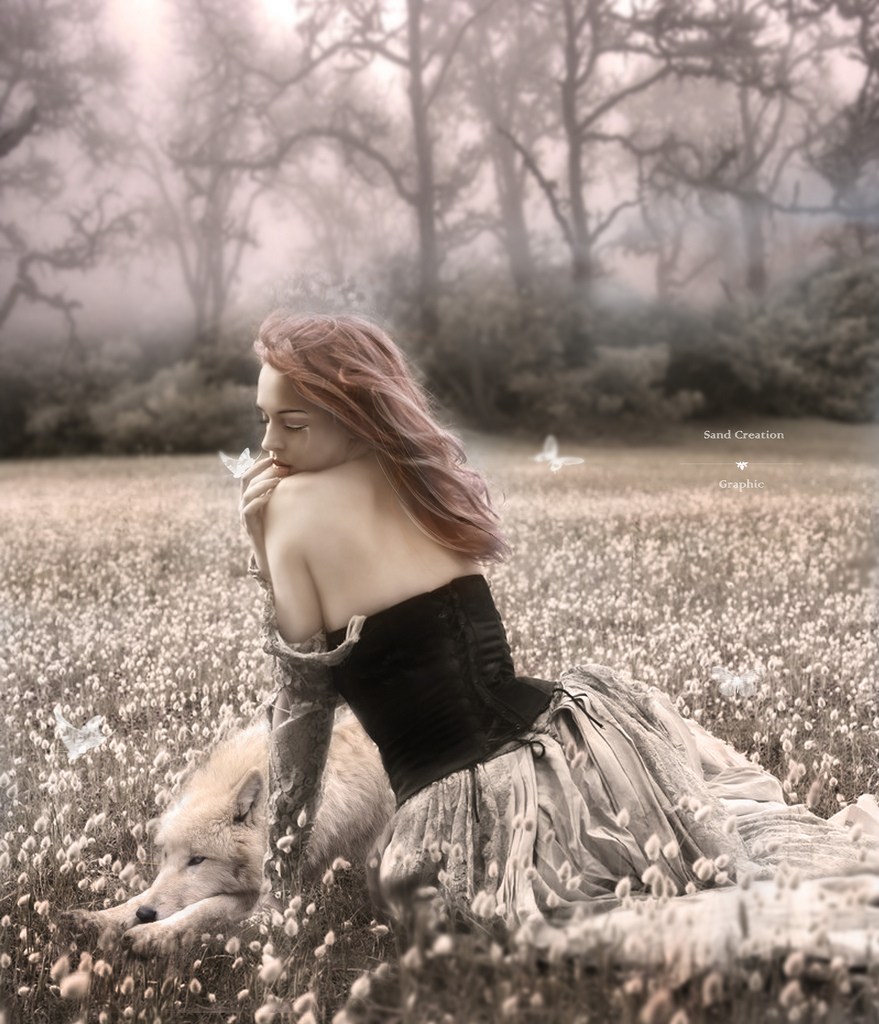 Фото Девушка с бабочкой на руке и белый волк вместе на цветущей поляне
